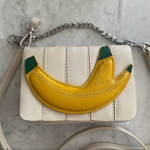 Zara Banana Bag/Clutch